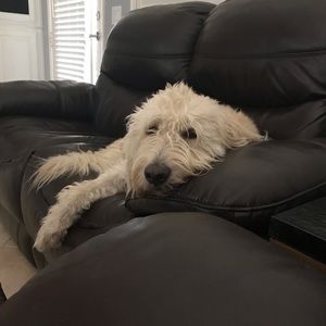 Meet your Posher, April